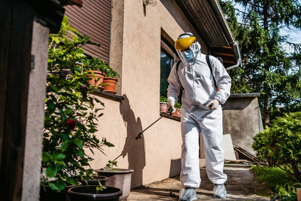 Best Affordable Pest Control Services  in Senoia, GA