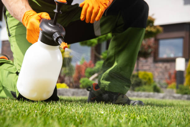 Best Rat Extermination Near Me  in Senoia, GA