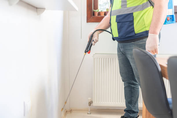 Best Termite Control Services  in Senoia, GA
