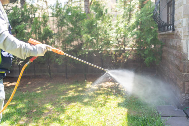 Best Wasp Removal Services  in Senoia, GA