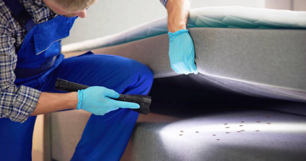  Senoia, GA Pest Control Pros