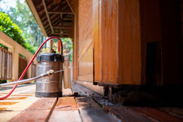 Best Wasp Removal Services  in Senoia, GA