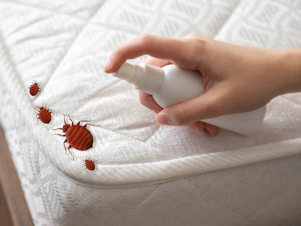 Best Pest Removal Services  in Senoia, GA
