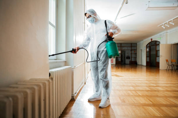 Flea Control Services in Senoia, GA