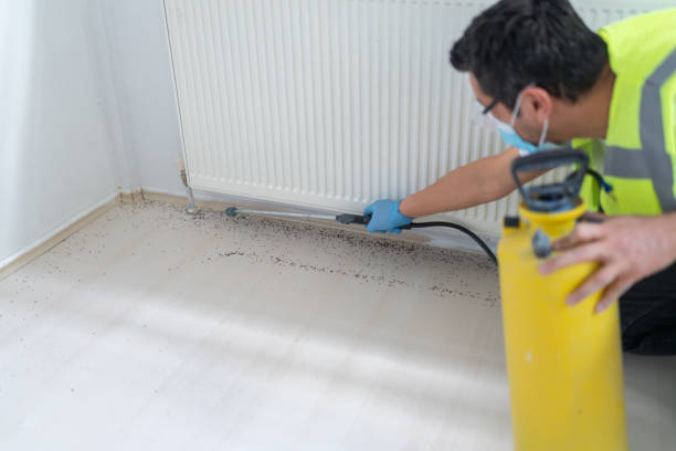 Best Pest Control for Businesses  in Senoia, GA