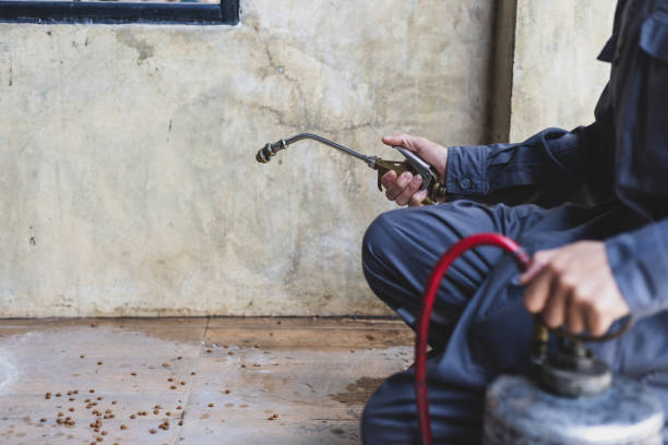 Pest Control Cost in Senoia, GA